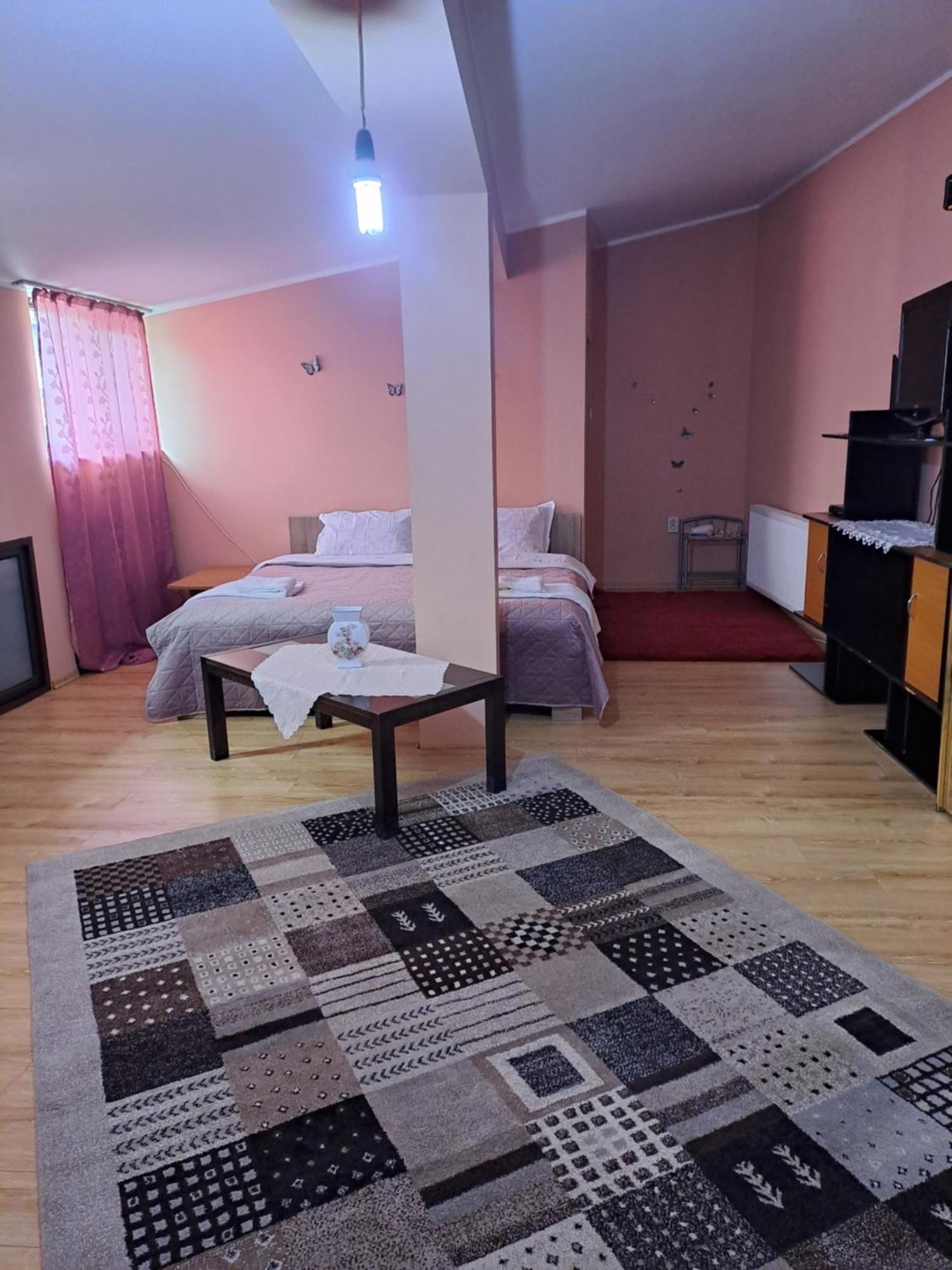 加拉茨Casa Rusu公寓 外观 照片