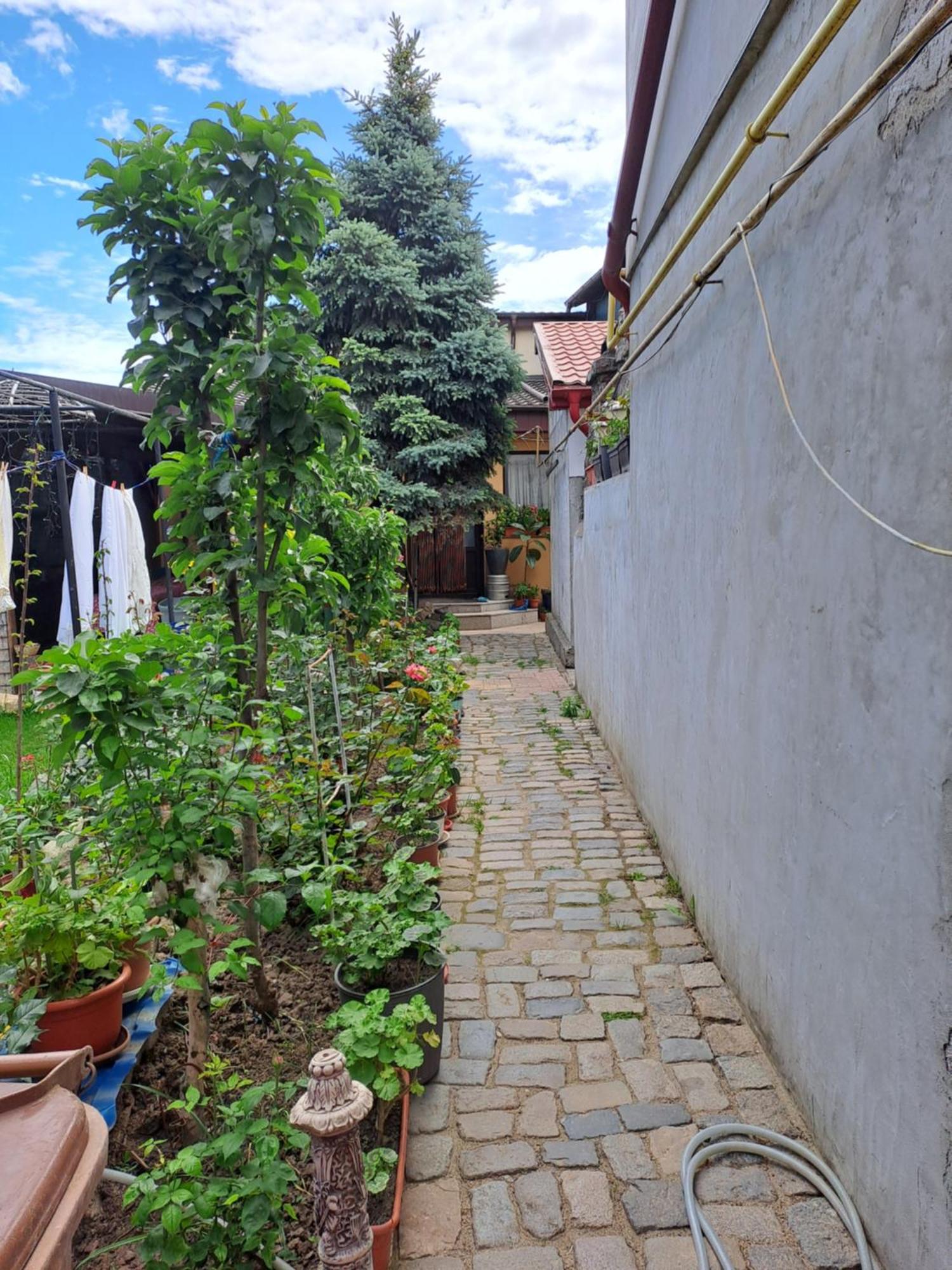 加拉茨Casa Rusu公寓 外观 照片